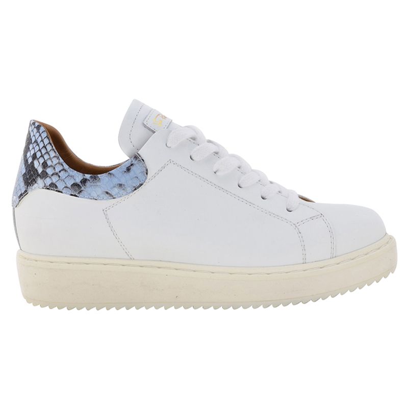 Hill sneakers hot sale
